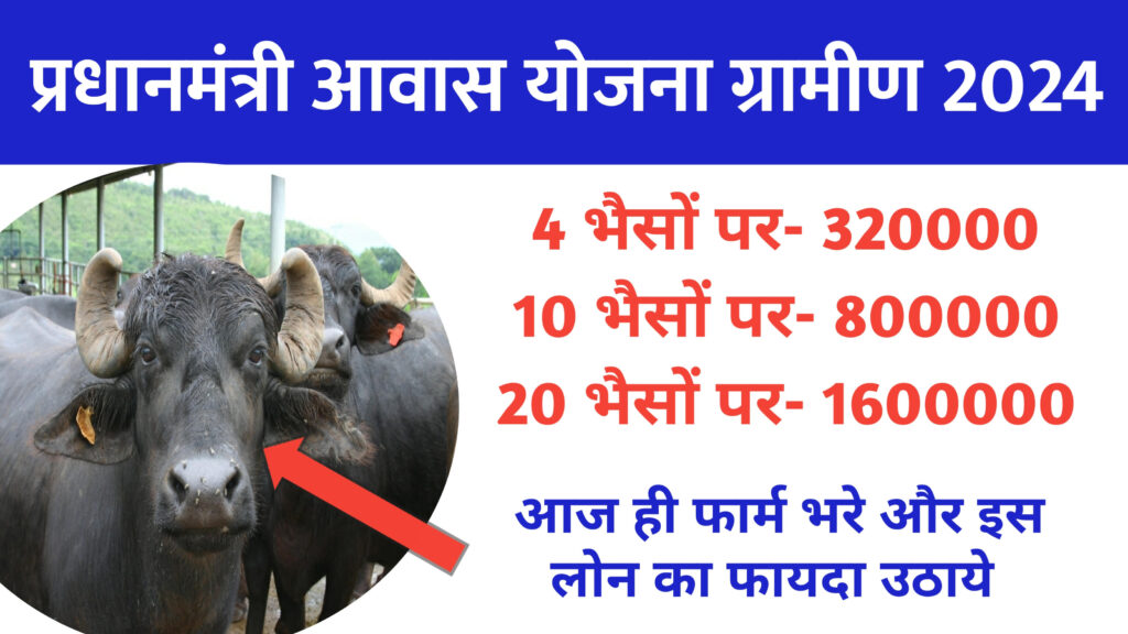 Bhains Per Loan Yojana