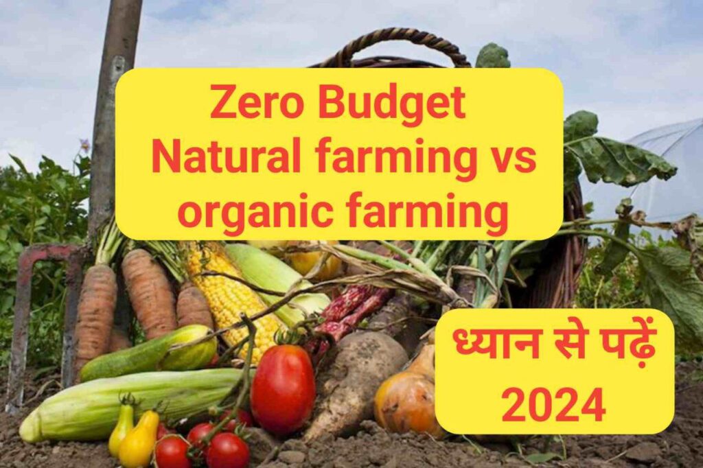 zero budget natural farming vs organic farming